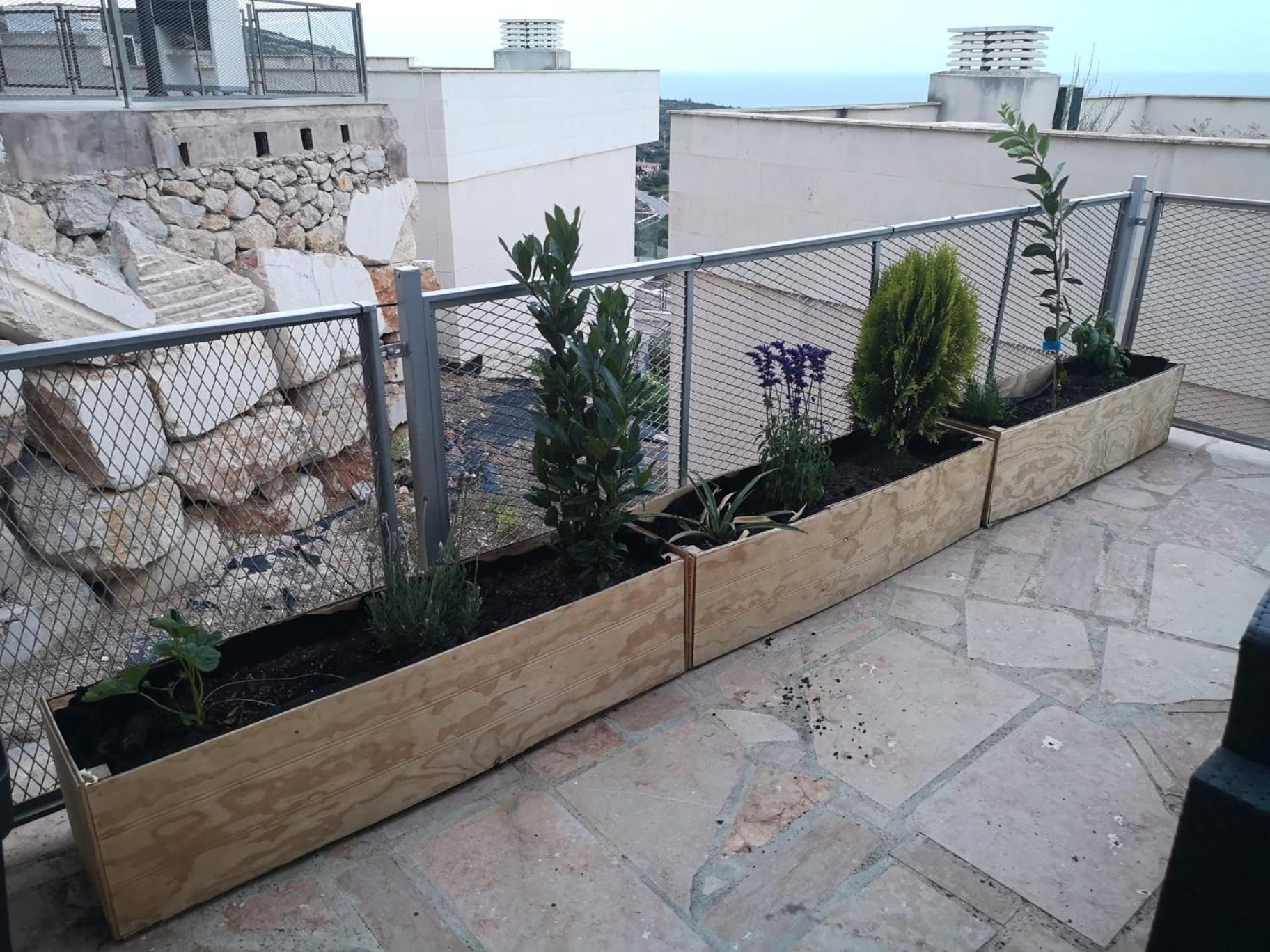 La Casa Del Mirlo Azul - Peniscola Lejlighed Eksteriør billede